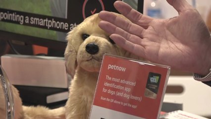 "반려동물 건강 관리도 인공지능이"...AI 전성시대 / YTN