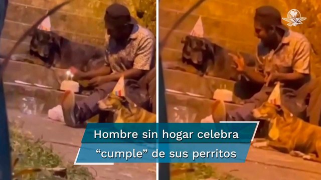 Con gorritos y pastel captan a persona en situación de calle celebrar el cumpleaños de sus perros