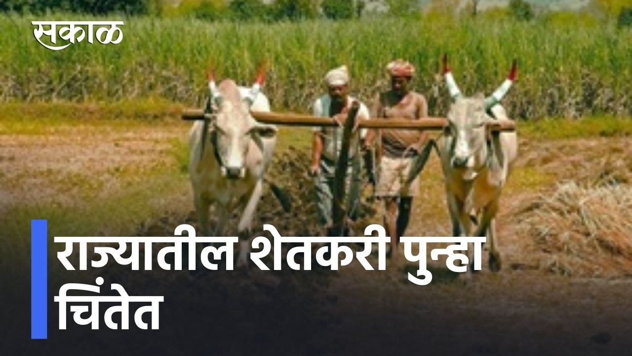 Maharashtra Rain Updates l राज्यात पुढचे 4 दिवस पावसाचे, शेती पिकांचं नुकसान होण्याची शक्यता l Sakal