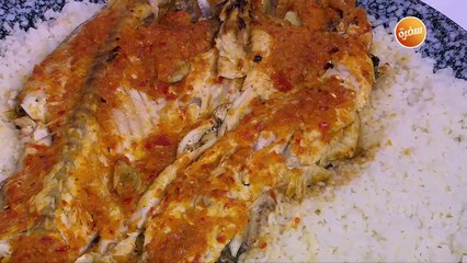 سمك سنجاري  | عماد الخشت