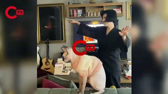 Gonca Vuslateri'den 'Cübbeli Ahmet' dansı: 'Öp beni, yut beni, yala beni'