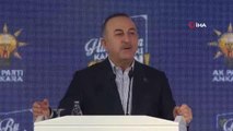 Bakan Çavuşoğlu, AK Parti Ankara İl Teşkilatı İstişare ve Değerlendirme Toplantısı'nda konuştu