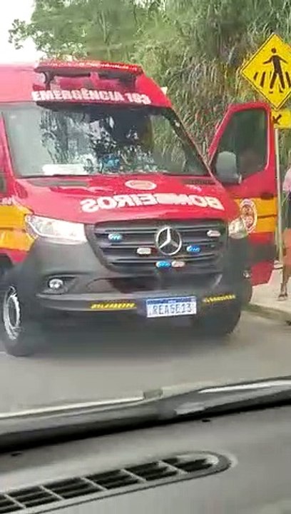 Ataque de abelhas deixa 11 feridos em Blumenau