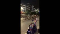 Un grupo de avestruces se escapa y recorre las calles de la ciudad china de Chongzuo
