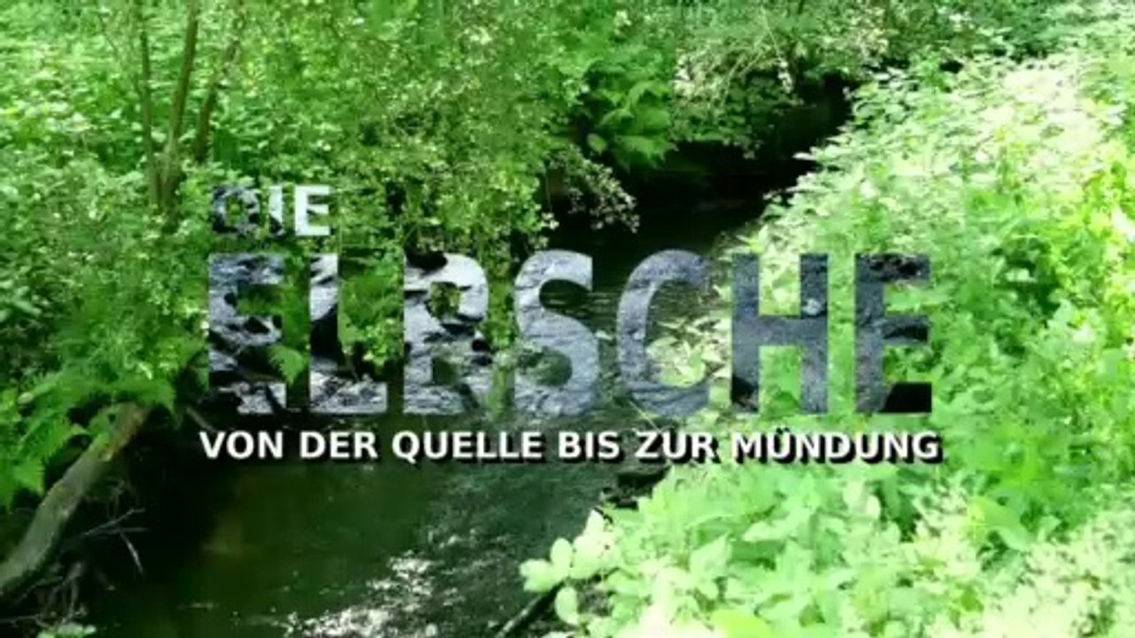Die Elbsche