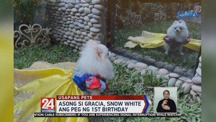 Asong si Gracia, Snow White ang peg ng 1st birthday | 24 Oras Weekend