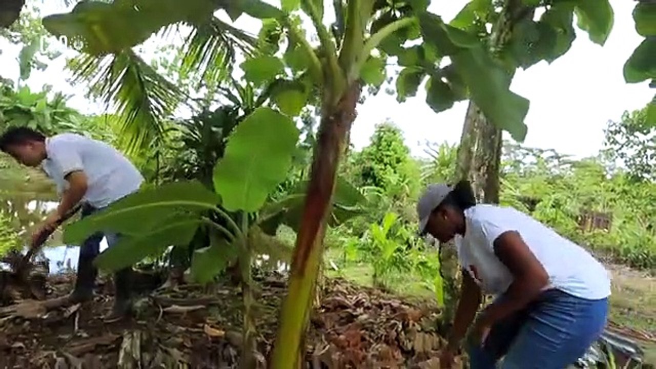CienciHéroes - Innovadores Etnobotánicos