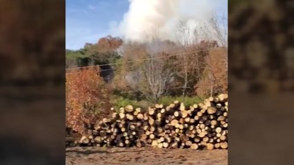 전남 고흥 야산 인근서 불...50분 만에 꺼져 / YTN