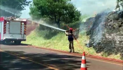 Download Video: Incêndio em vegetação levanta uma grande nuvem de fumaça nas margens da PR-486