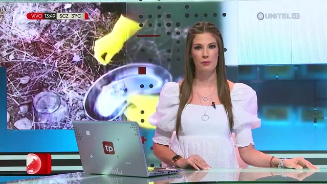 Una mujer fue hospitalizada en Oruro por la picadura de una viuda negra