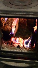 Firewood burns in winter in the stove in a rural house