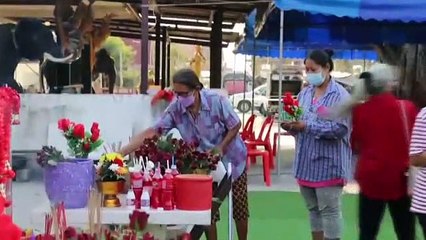 สุพรรณบุรี ค้งสุดท้ายแห่ขอโชคท้าวเวสสุวรรณคู่ท้าวเจริญและท้าวร่ำรวยวัดหัวโพธิ์  (คลิป)