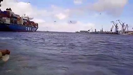 انتظام حركة الملاحة بالمجرى الملاحى بقناة السويس رغم سوء الأحوال الجوية