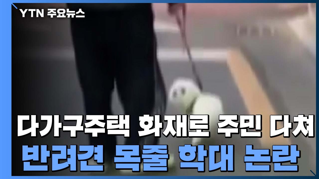 다가구주택 화재로 주민 다쳐...반려견 목줄 학대 논란 / YTN