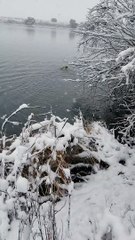 Doc retrieving at Duck Point