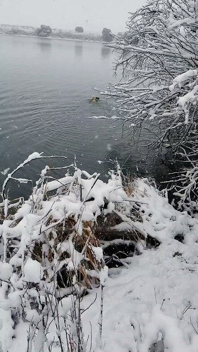 Doc retrieving at Duck Point