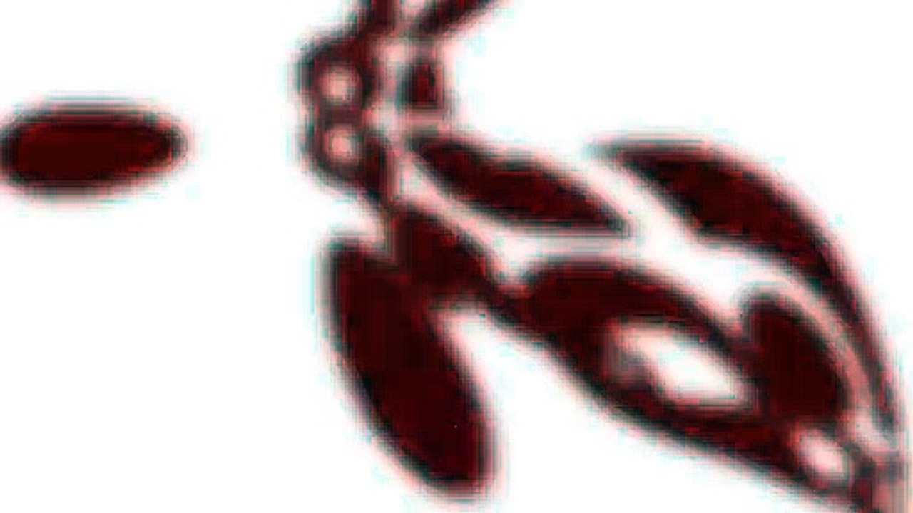 Demasiada confianza puede fallar