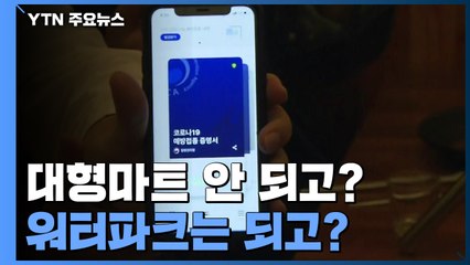 "대형마트 안 되고? 워터파크는 되고?"...방역패스 기준 뭘까 / YTN