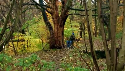 Phoenix Nights S01 - Ep04 Singles Night Hd Watch