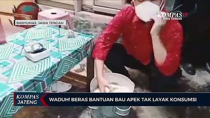 Waduh! Beras Bantuan Bau Apek Tak Layak Konsumsi