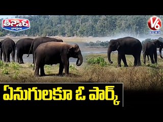 ఏనుగులకూ ఓ పార్క్ _ Elephant Park In Maharashtra, Migratory Birds Flock to Maharashtra _ V6 Teenmaar
