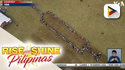 Daan-daang tupa at kambing sa Germany, naghugis na tila giant syringe