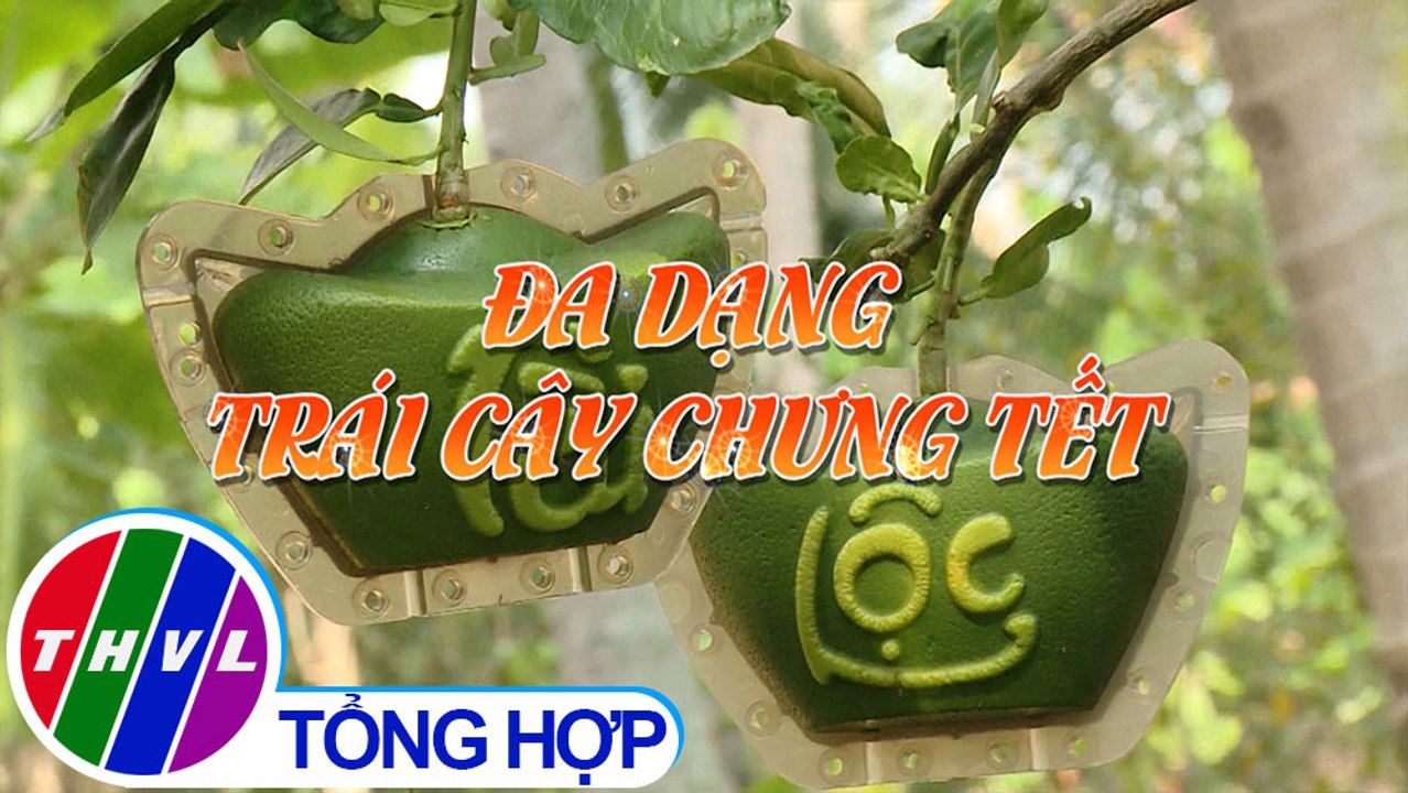 Nông nghiệp bền vững: Đa dạng trái cây chưng Tết