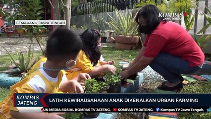 Latih Kewirausahaan Anak Dikenalkan Urban Farming