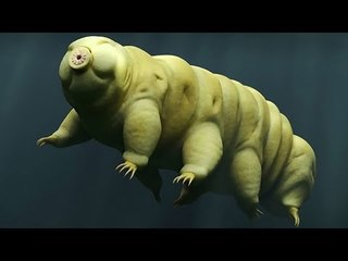 «وضعوه في النـ ـار وجمدوه في درجة».. 273 ولم يمت.. مخلوق خارق يحير العلماء