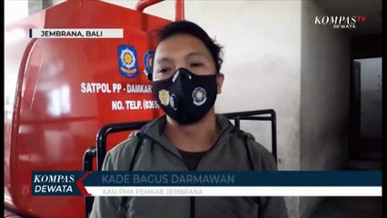 Ular Kobra Di Kantos Diskominfo Jembrana