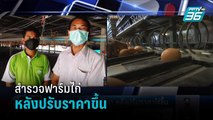 สำรวจฟาร์มไก่ จ.พังงา หลังปรับราคาขึ้น  | เที่ยงทันข่าว