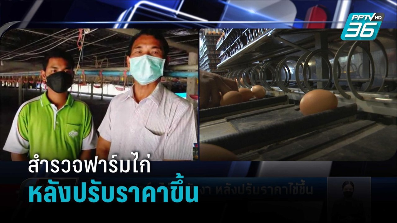 สำรวจฟาร์มไก่ จ.พังงา หลังปรับราคาขึ้น  | เที่ย...