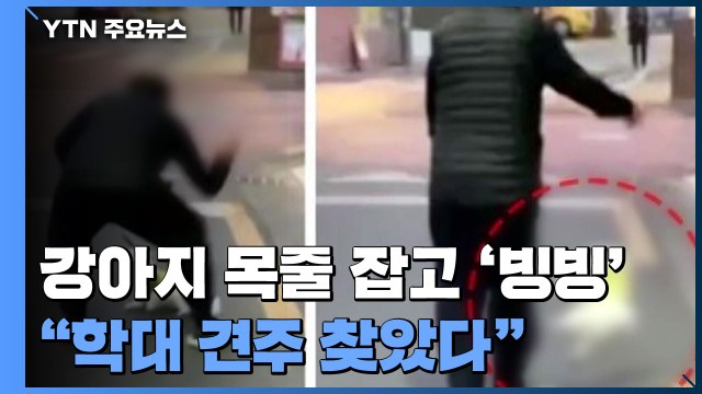 [더뉴스] 강아지 목줄 잡고 공중에서 '빙빙'...견주 이게 무슨 학대냐 / YTN