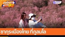 ซากุระเมืองไทย ที่ภูลมโล (7 ม.ค. 65) คุยโขมงบ่าย 3 โมง