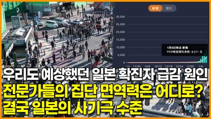 우리도 예상했던 일본 확진자 급감 원인, 전문가들의 집단 면역력은 어디로? 결국 일본의 사기극 수준