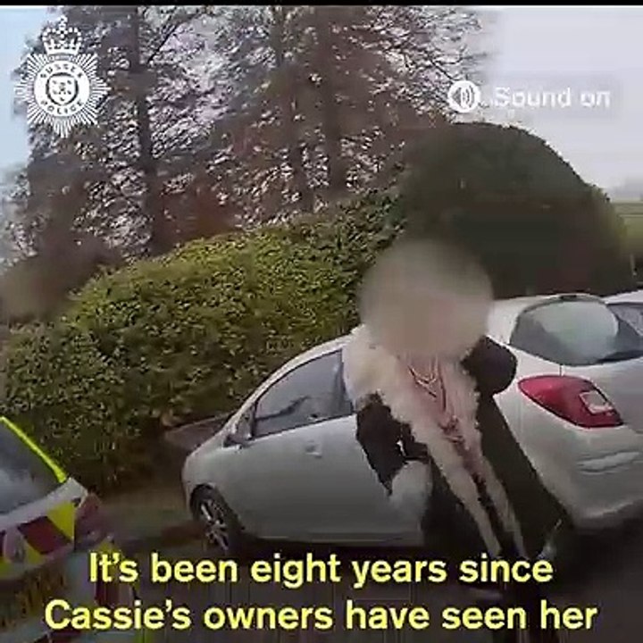 Cadela reencontra-se com a família 8 anos depois de ser roubada