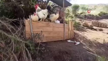 Alkollü sürücünün ezdiği kadının oğlu konuştu