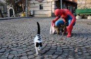 'Örümcek Adam' sokak hayvanlarının kahramanı oldu, görenler şaşkınlığını gizleyemedi