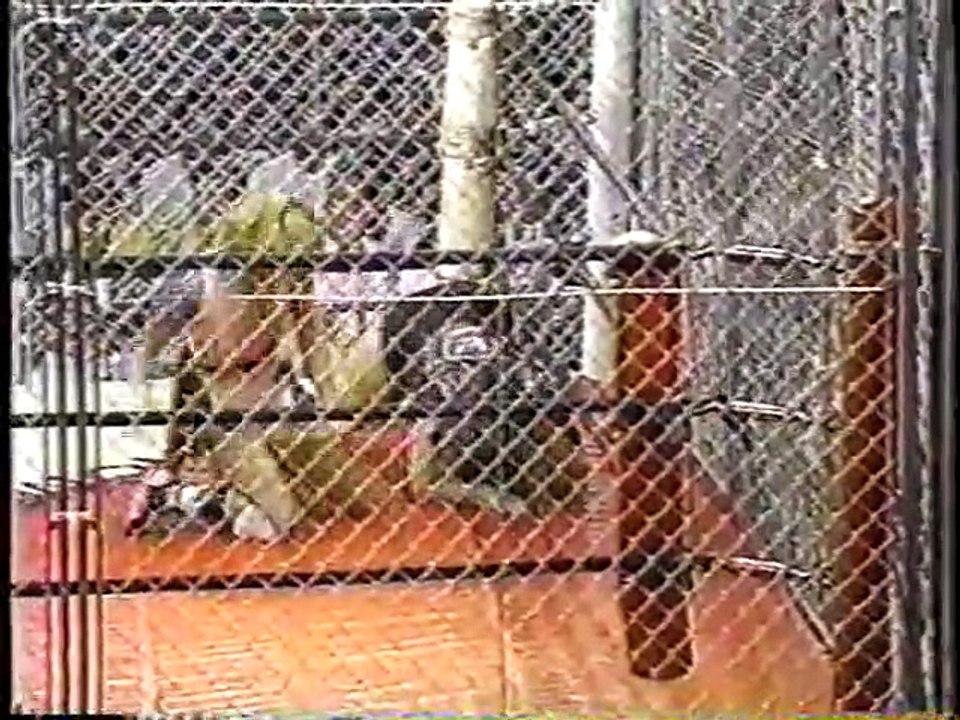 Akira Hokuto v Bull Nakano Cage