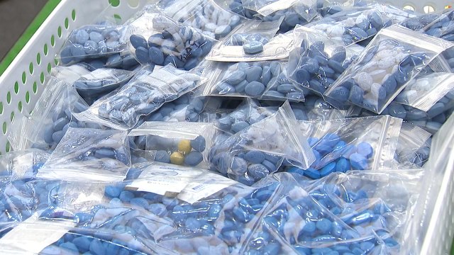 가짜 발기부전 치료제 판매한 업주 7명 붙잡혀 / YTN