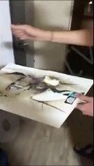 Tepki çeken video ‘zaman ayarlı’ provokasyon çıktı!