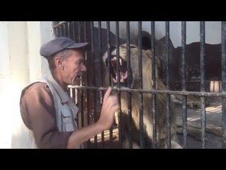 حسين فهمي وسعد الصغير أشهر أسدين بحديقة الحيوان .. اعرف سر تسميتهما