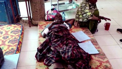 Air strike killed 56 in Ethiopia: aid workers