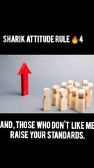Sharik attitude rules