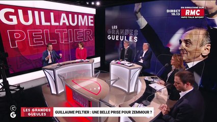 Face aux GG : Guillaume Peltier, soutien d'Eric Zemmour - 10/01