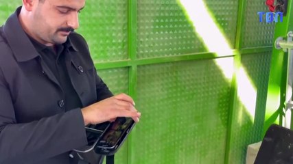 Les vaches portent un casque de réalité virtuelle pour se croire à l'extérieur