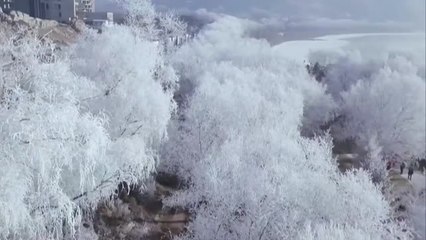 La ciudad china de Jilin conocida como "capital de la escarcha" recibió 20 millones de turistas atraídos por su increíble paisaje invernal