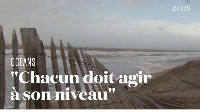 Pour sauver l'océan, on ne peut plus attendre : l'appel de six spécialistes