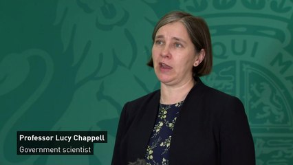 Government scientist urges pregnant women to get Covid jab