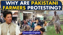Pakistan farmers protest over urea crisis | Urea smuggling in Pakistan | Oneindia News